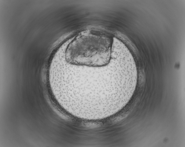 X0000116820533201001291624