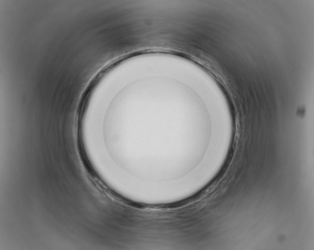 X0000116820534201001291624