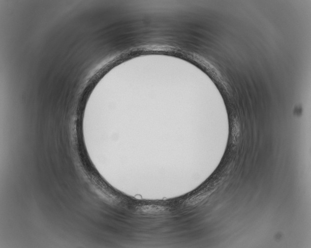 X0000116820535201001291624