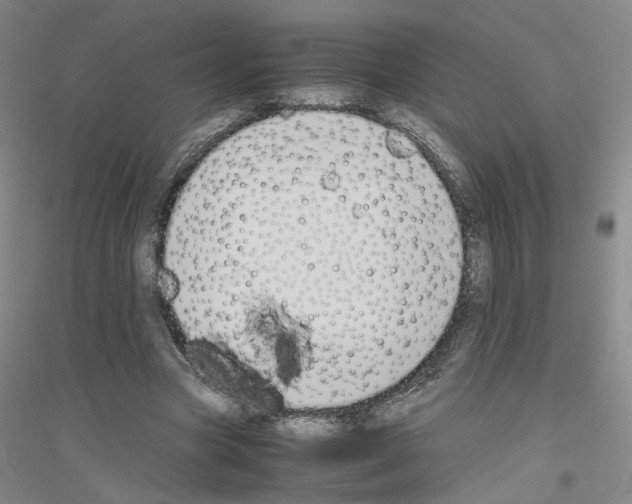 X0000116820537201001291624