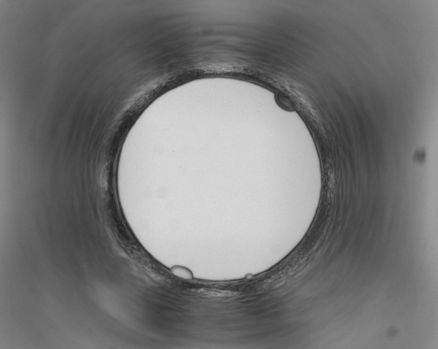 X0000116820539201001291624