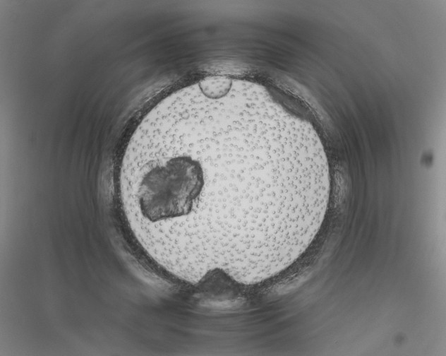 X0000116820541201001291624