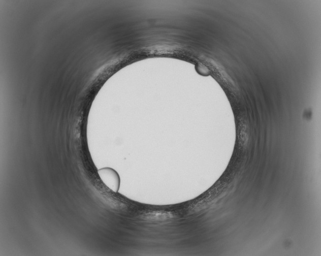 X0000116820543201001291624