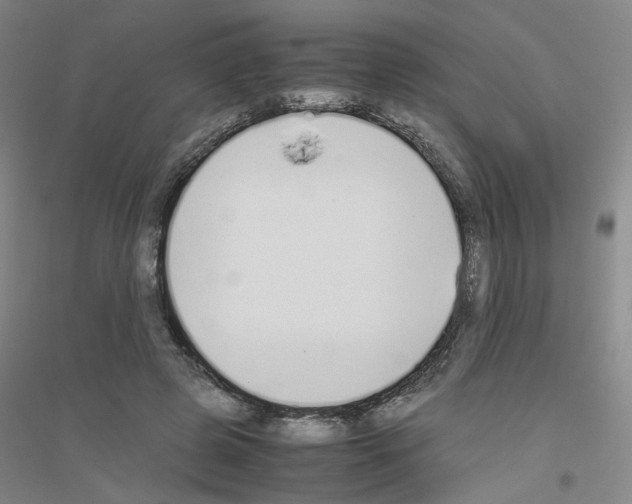 X0000116820545201001291624