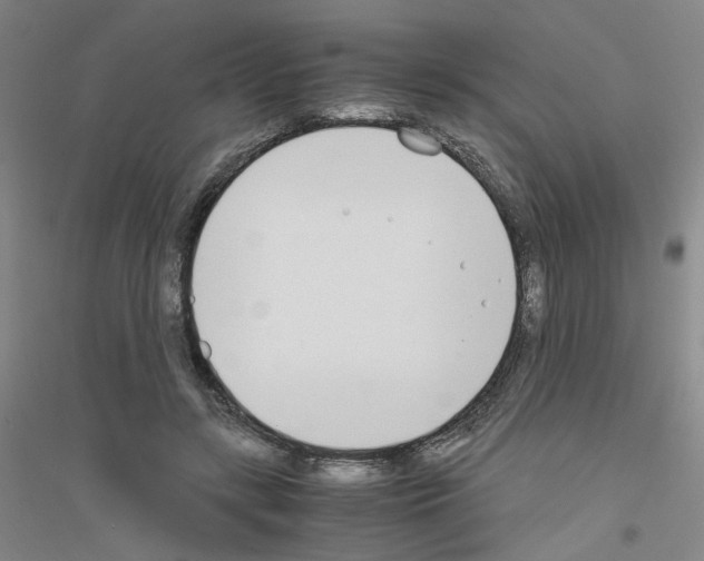 X0000116820547201001291624