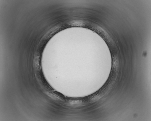 X0000116820549201001291624