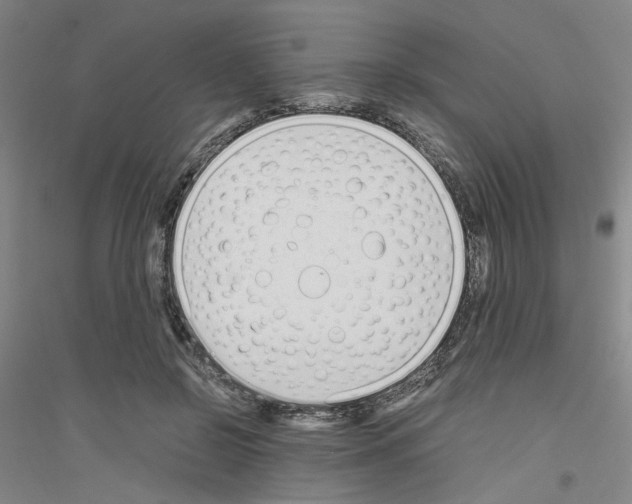 X0000116820550201001291624