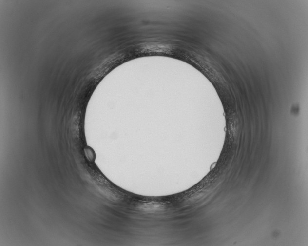 X0000116820551201001291624