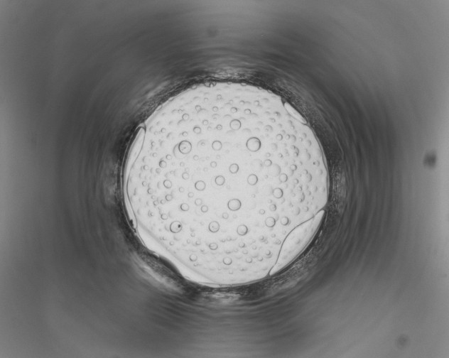 X0000116820554201001291624