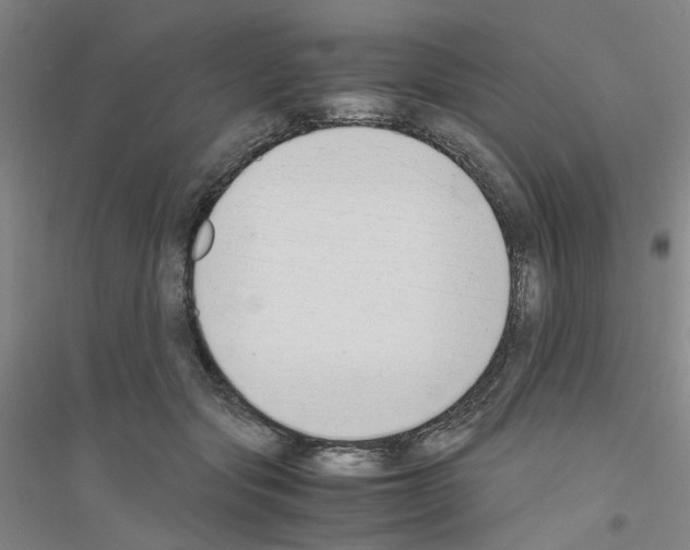 X0000116820557201001291624