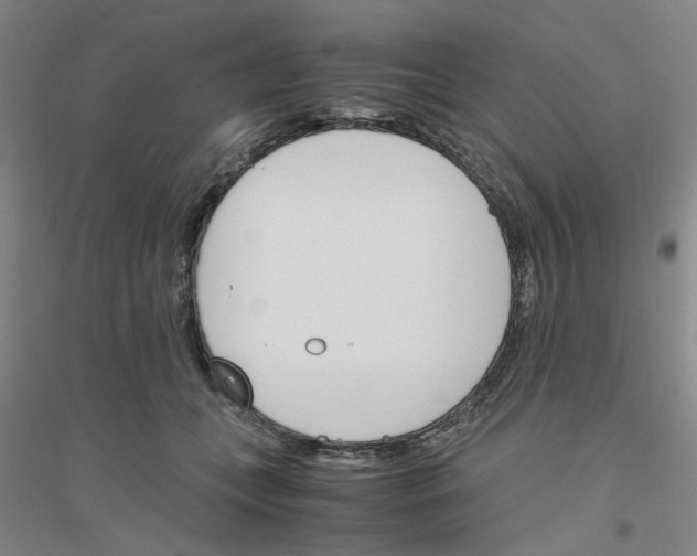 X0000116820559201001291624