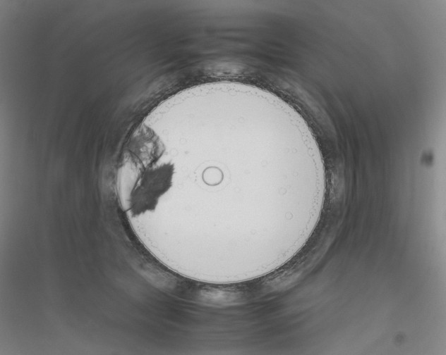 X0000116820561201001291624