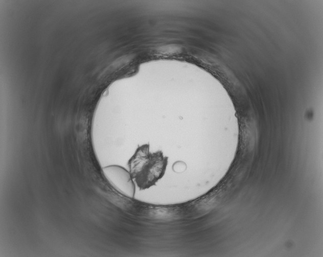 X0000116820565201001291624