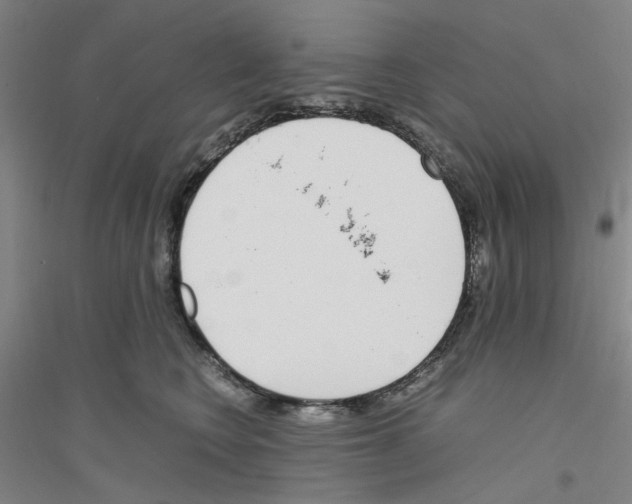 X0000116820566201001291624