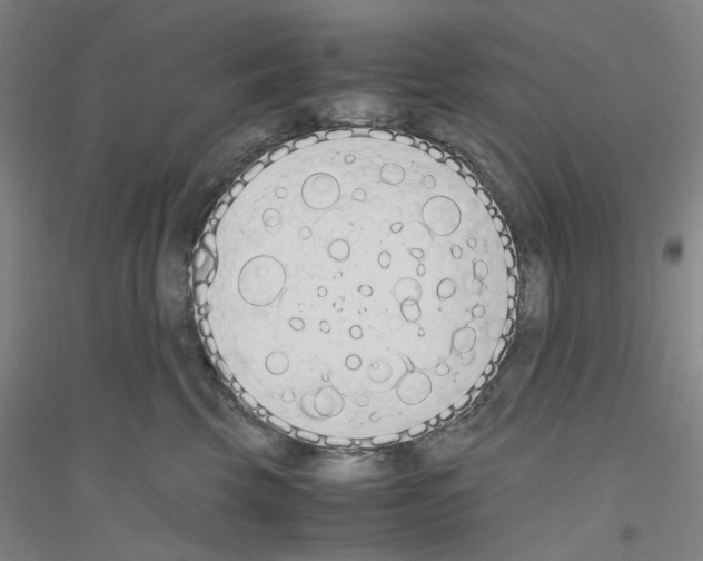 X0000116820569201001291624