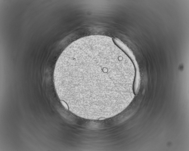 X0000116820570201001291624