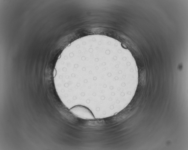 X0000116820571201001291624