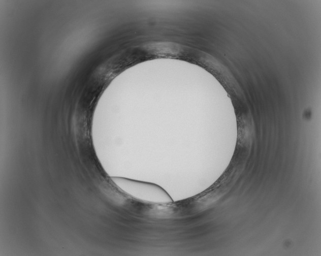 X0000116820573201001291625