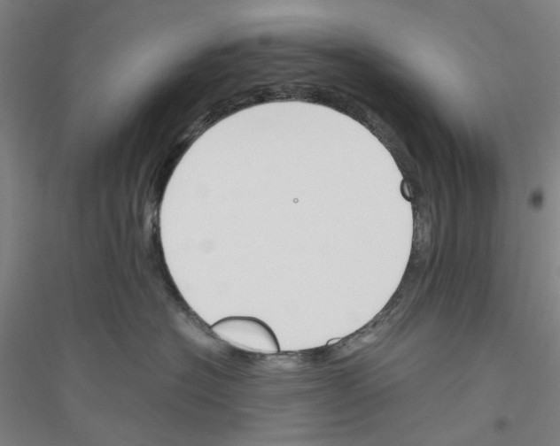 X0000116820574201001291625