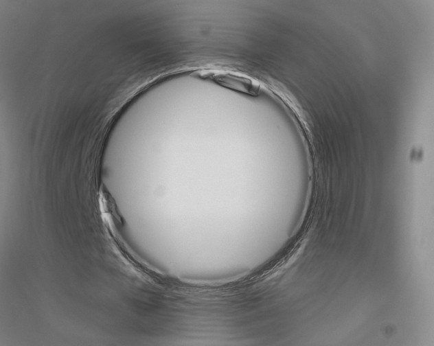 X0000116820577201001291624