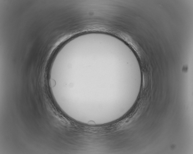 X0000116820579201001291624