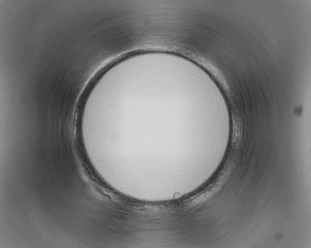 X0000116820580201001291624