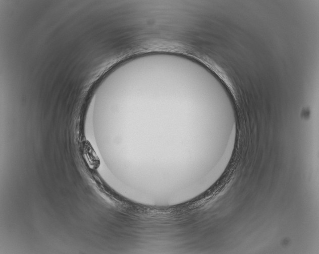 X0000116820581201001291624