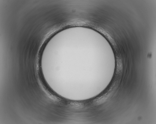 X0000116820582201001291624