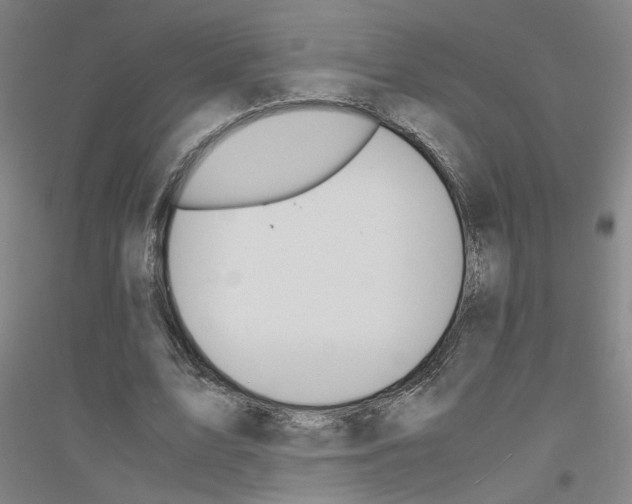 X0000116820583201001291624