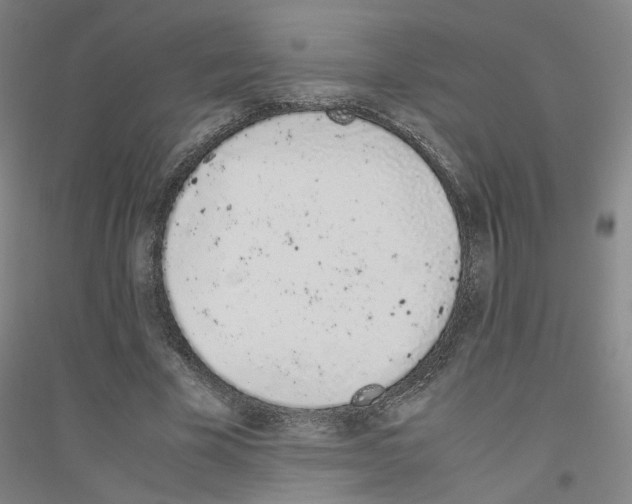 X0000116820585201001291624