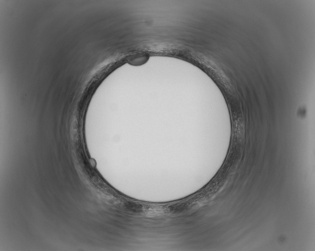 X0000116820587201001291624