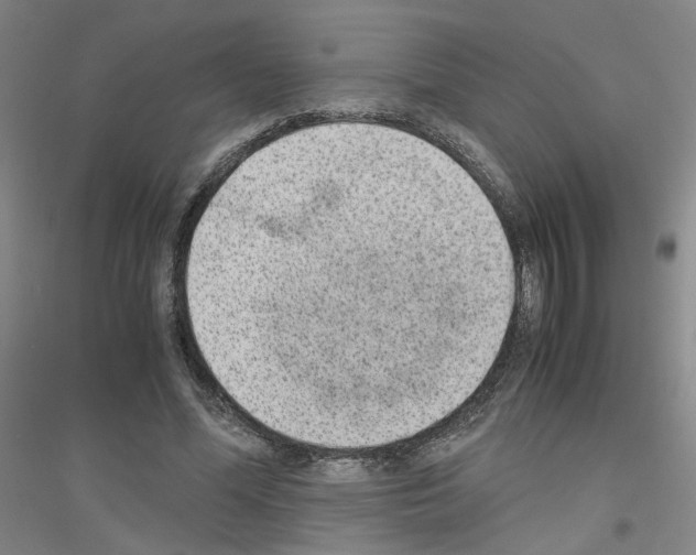 X0000116820588201001291624