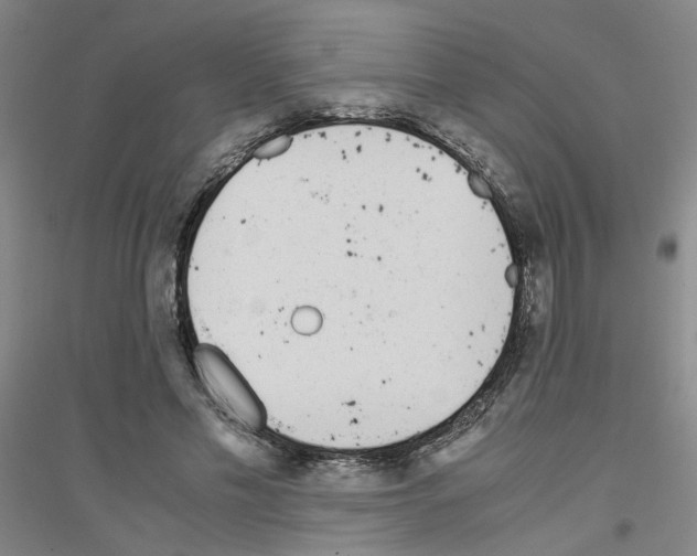 X0000116820589201001291624