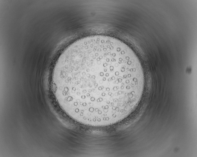 X0000116820590201001291624