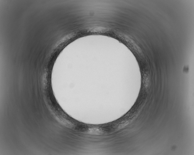 X0000116820591201001291624