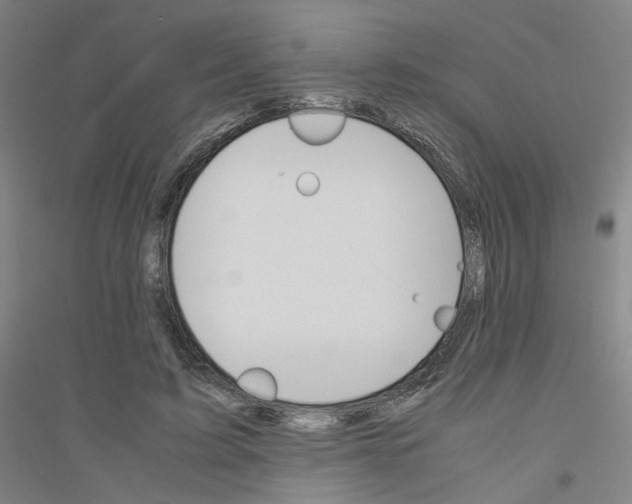 X0000116820595201001291624