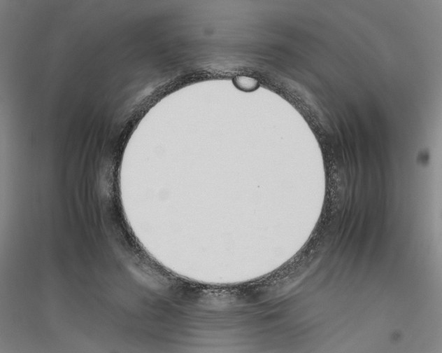 X0000116820596201001291624