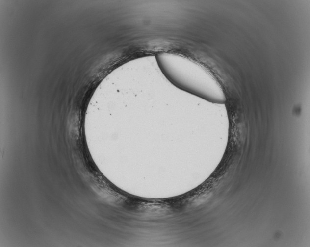 X0000116820597201001291624