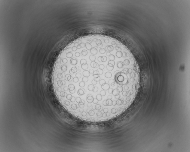 X0000116820598201001291624