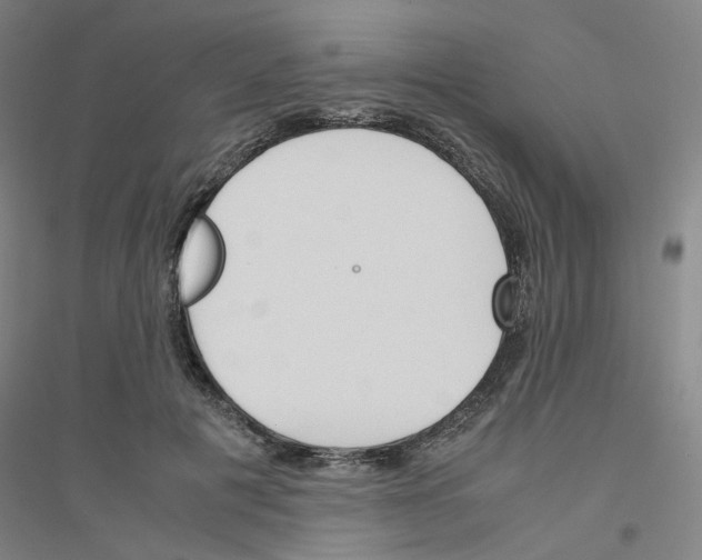 X0000116820601201001291624