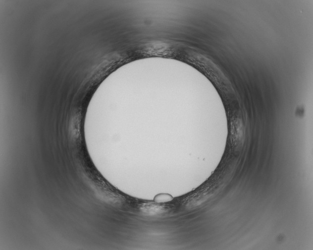 X0000116820602201001291624