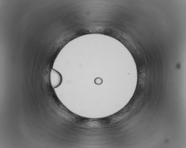 X0000116820604201001291624