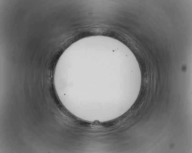 X0000116820605201001291624