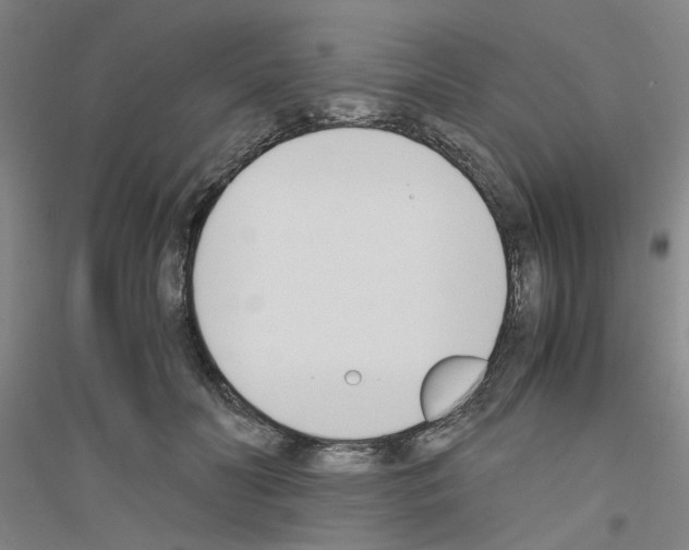 X0000116820606201001291623