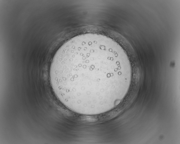 X0000116820610201001291623