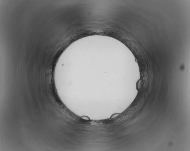 X0000116820612201001291623