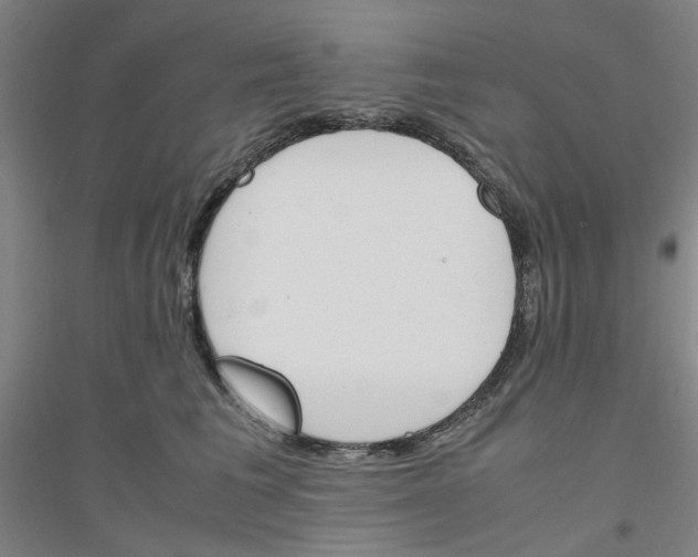 X0000116820613201001291623