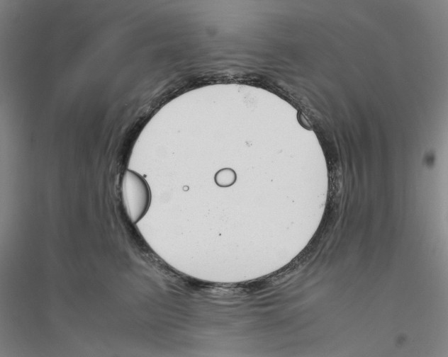 X0000116820615201001291623