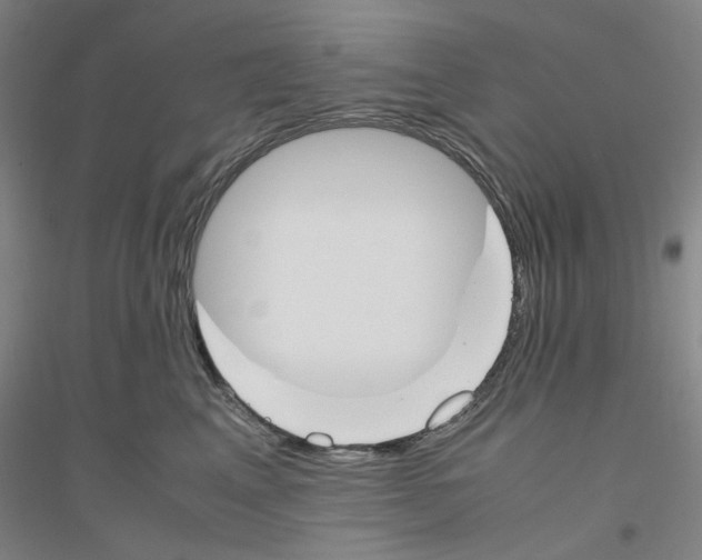 X0000116820617201001291623