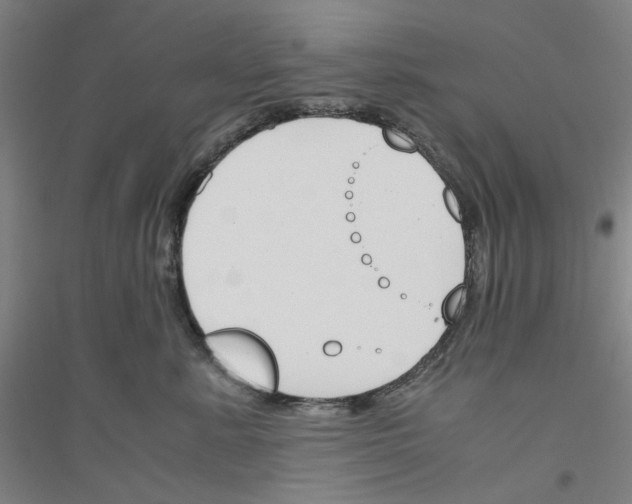 X0000116820619201001291623